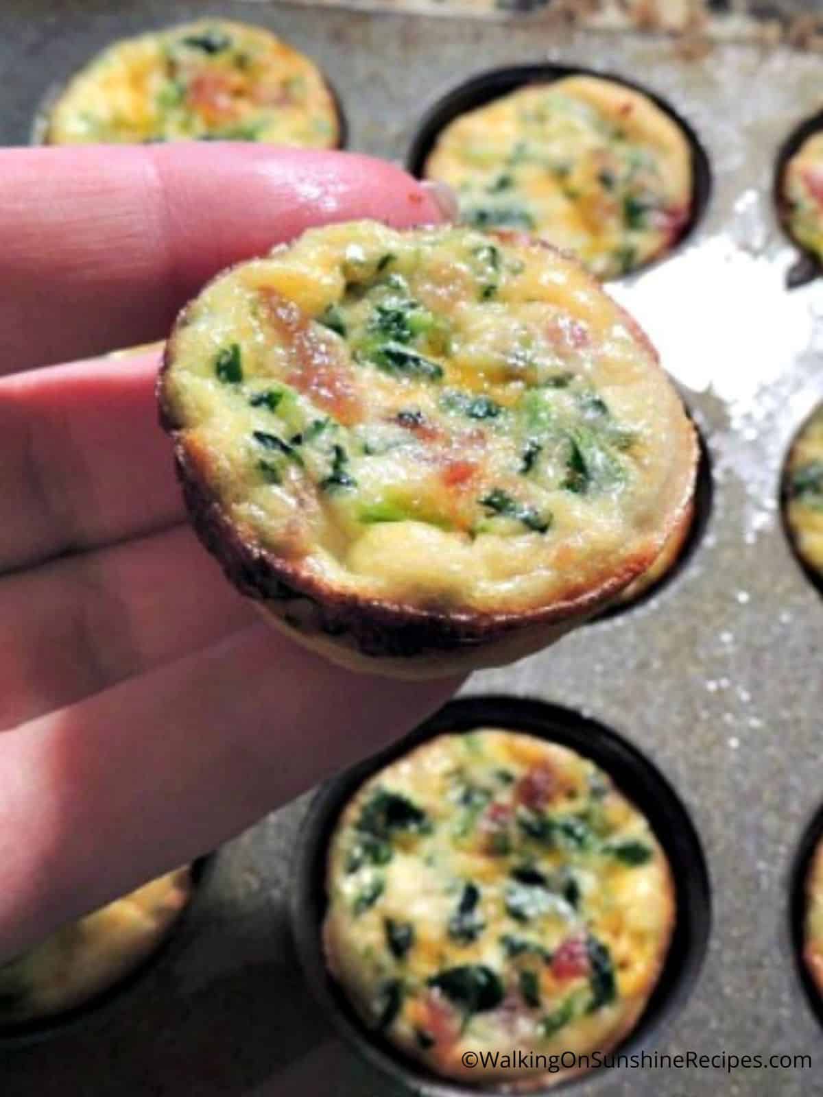 quiche appetizers.