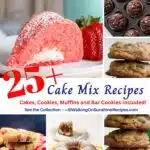 collection of cake mix recipes.