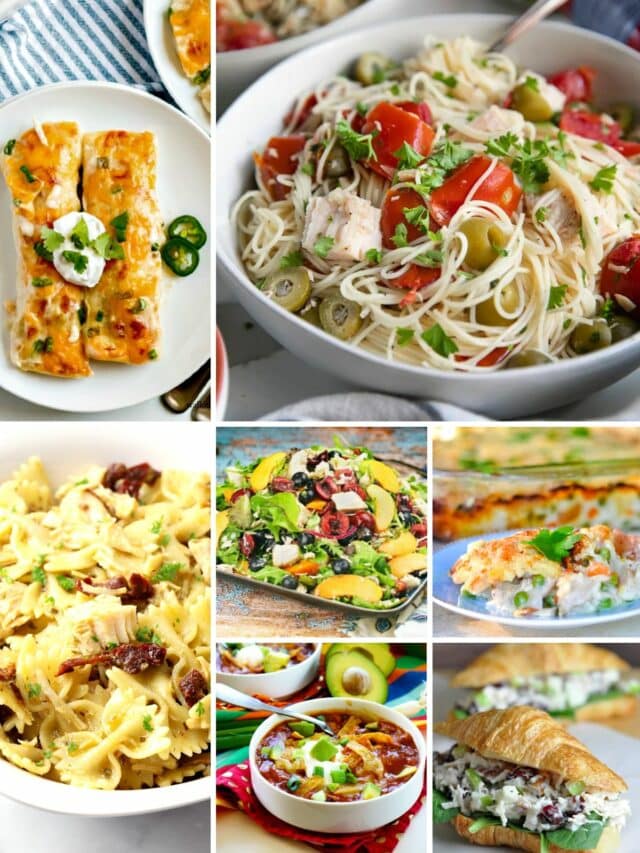 Canned Chicken Breast Recipes | Walking on Sunshine Recipes