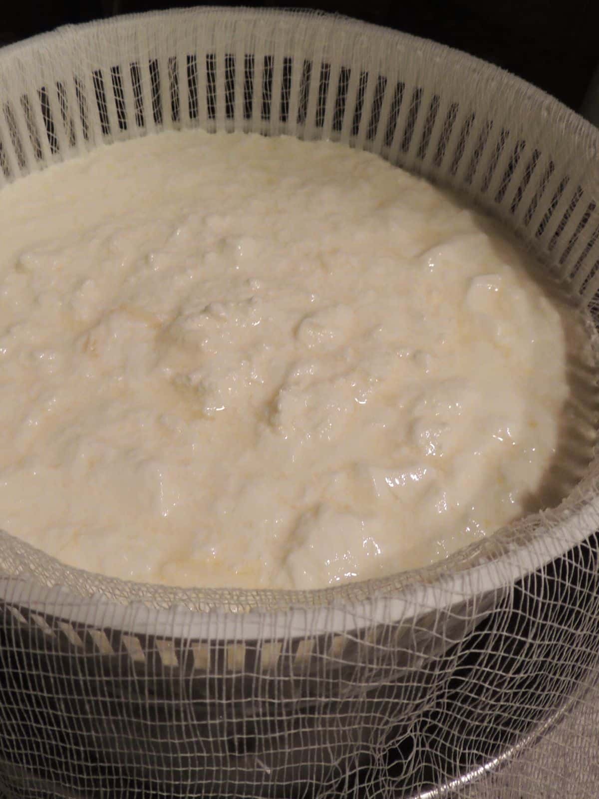 fresh made yogurt in cheesecloth to drain.