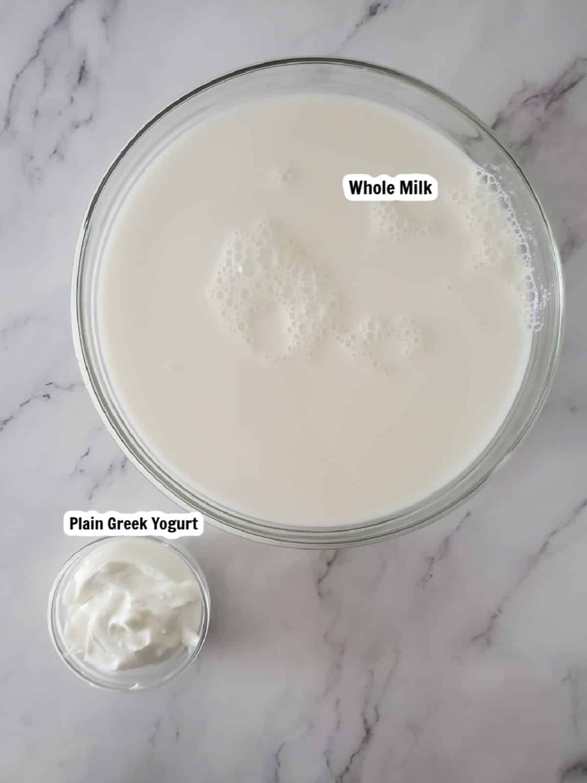Ingredients for homemade yogurt.