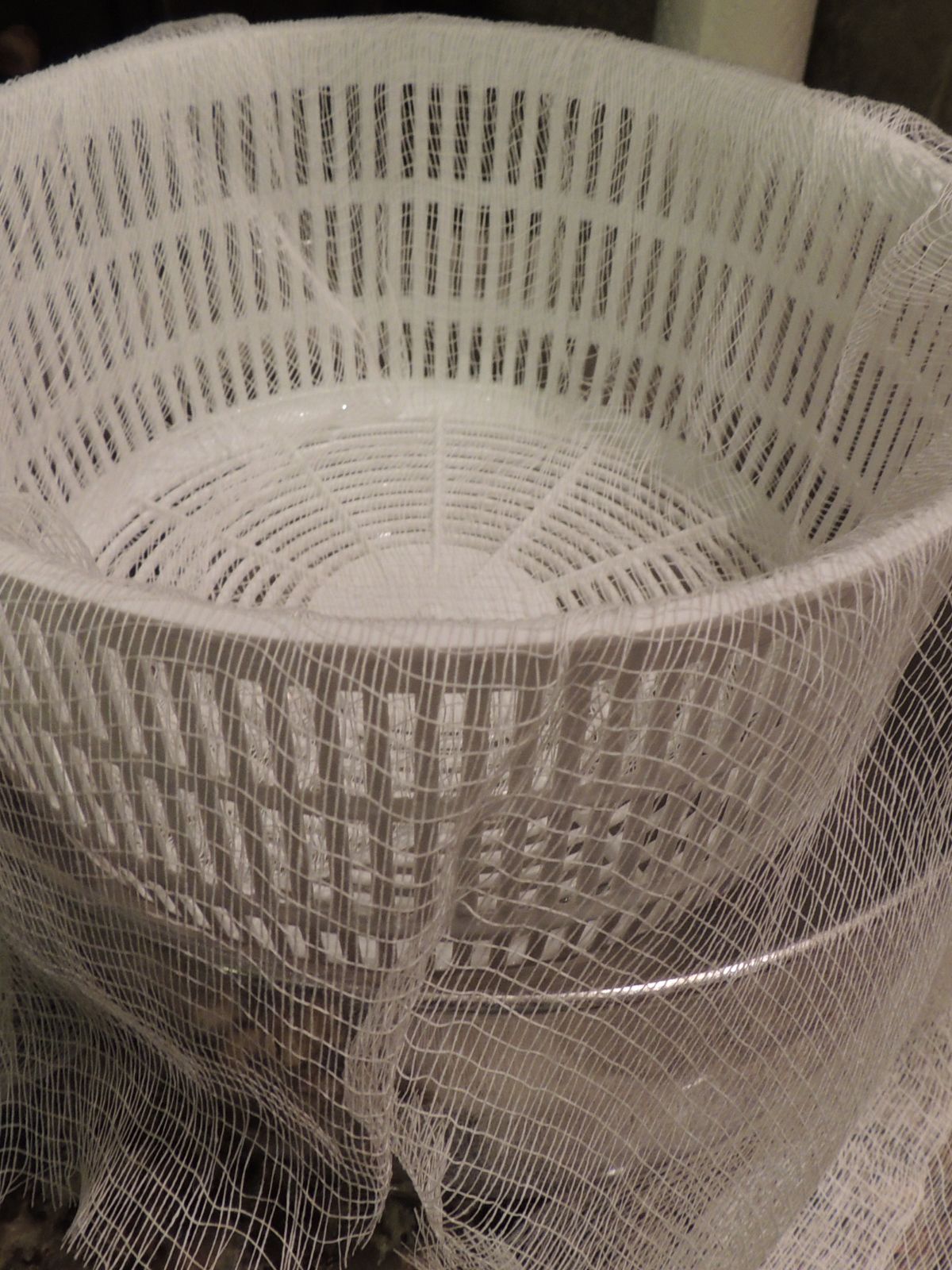 cheesecloth over strainer.