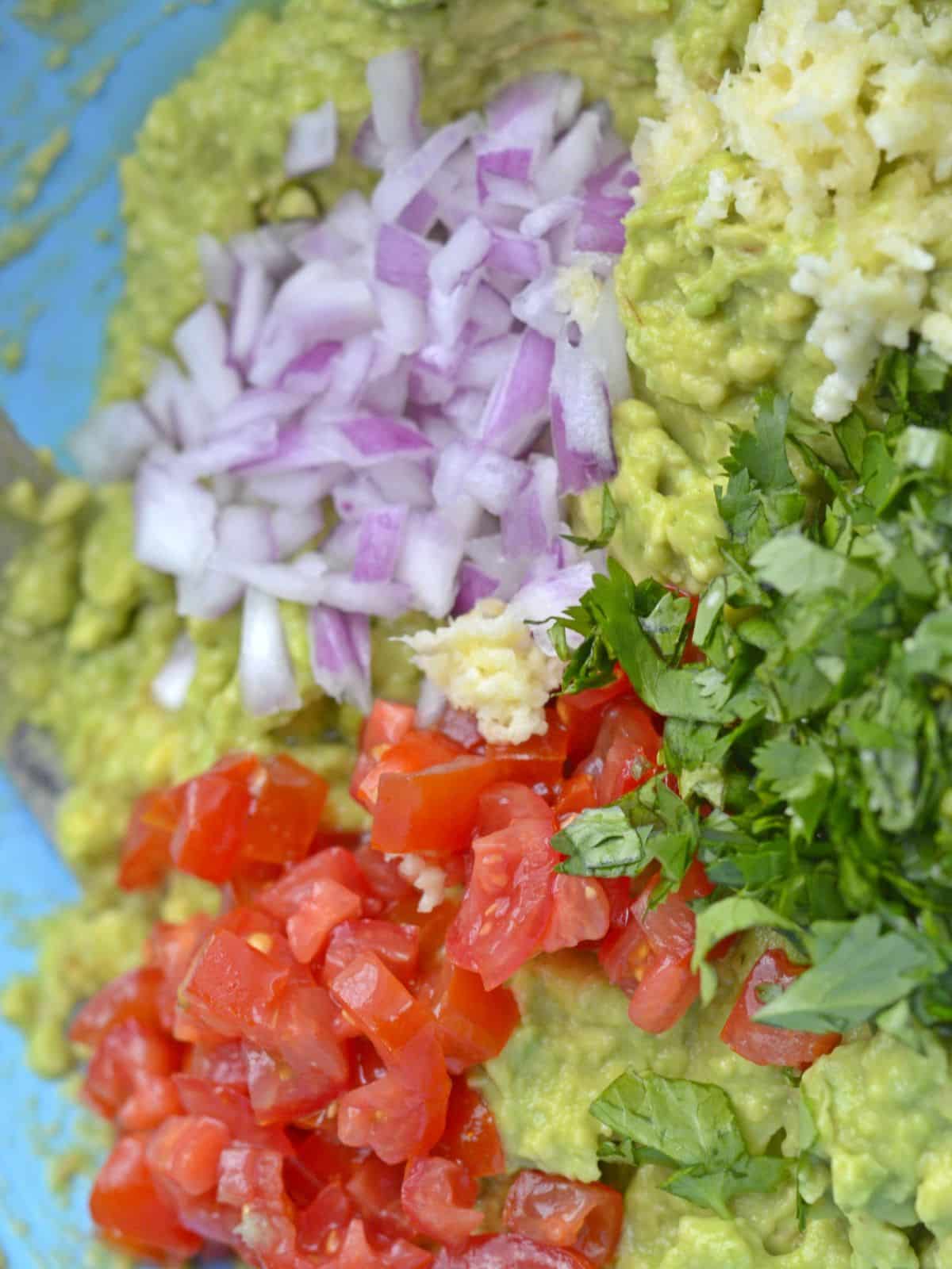 red onion, garlic, tomato, cilantro and avocado in bowl.