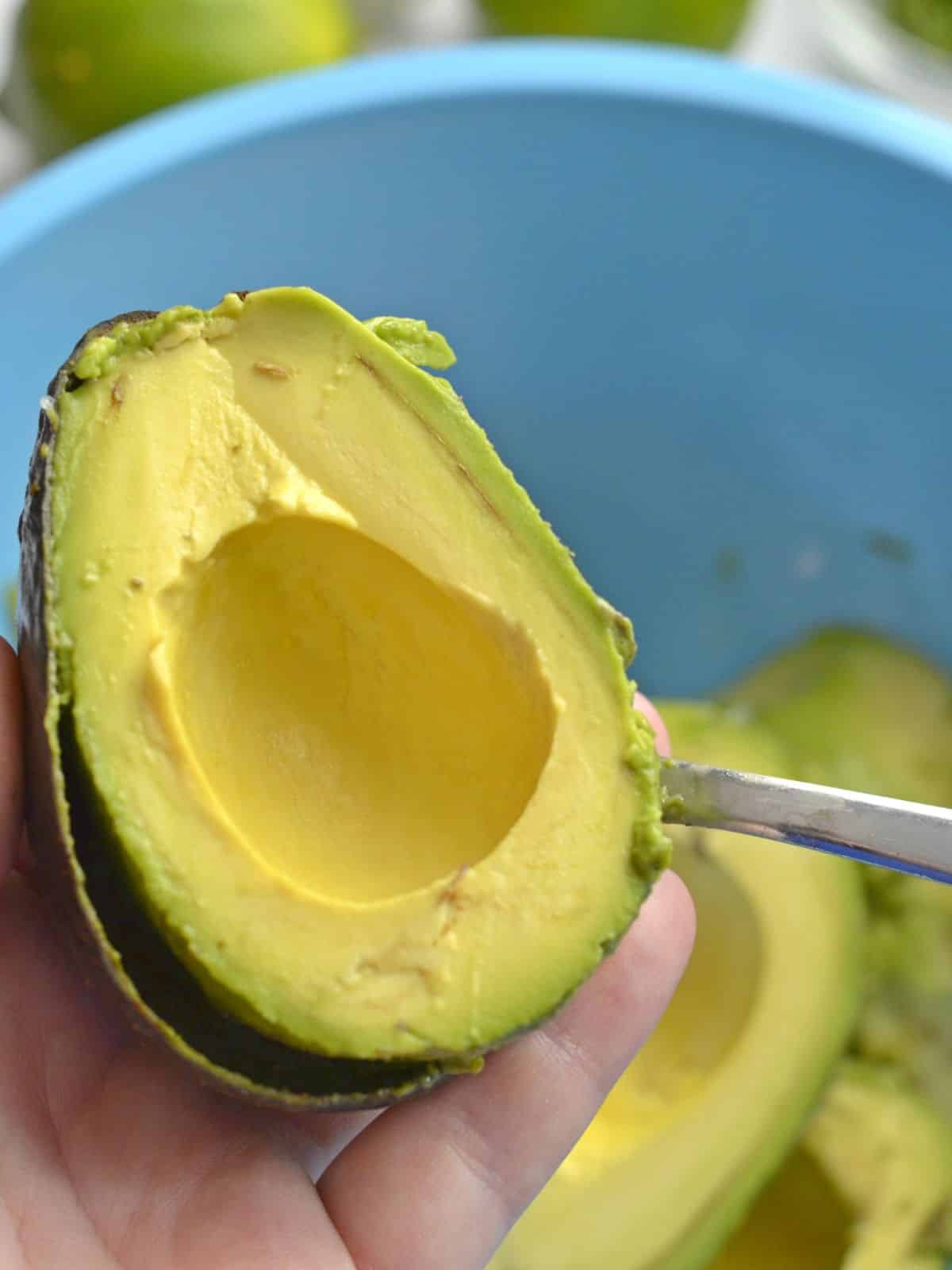 Avocado sliced open.