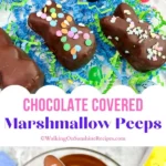 chocolate covered peeps.