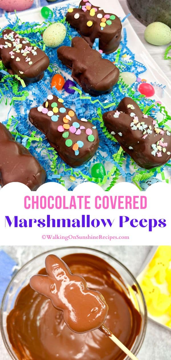 chocolate covered peeps.