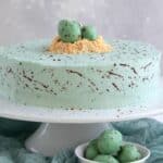 diabetic dessert recipes featuring a robin's egg cake on a white platter.