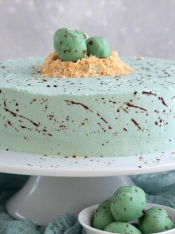 diabetic dessert recipes featuring a robin's egg cake on a white platter.