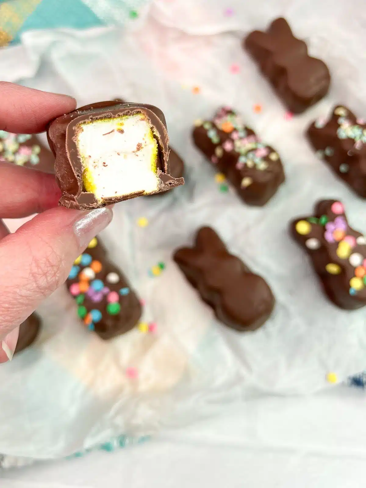inside view of chocolate covered marshmallow Peep.