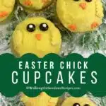 Easter Chick Cupcakes pin.
