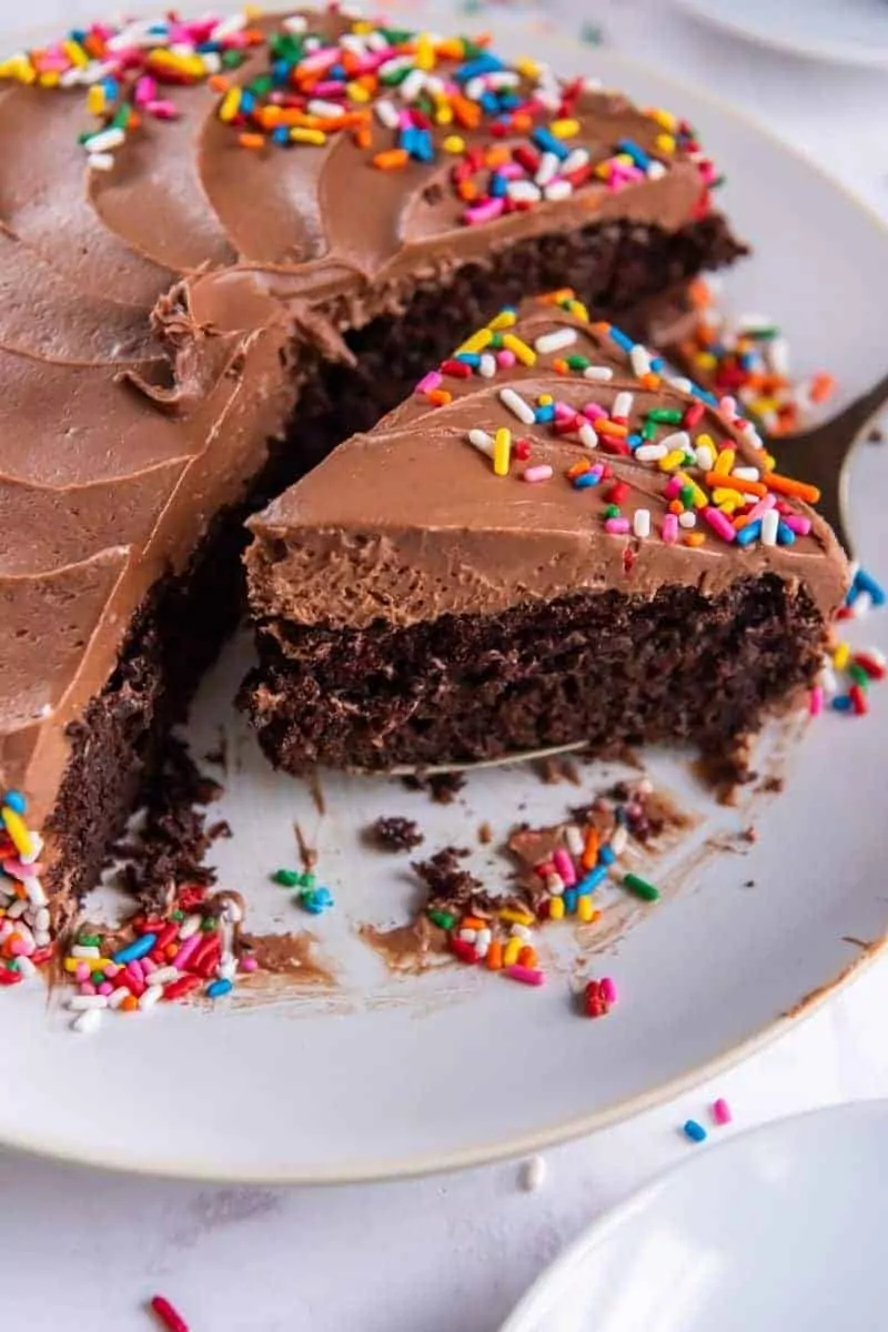 piece of chocolate cake with multi-colored sprinkles on white plate.