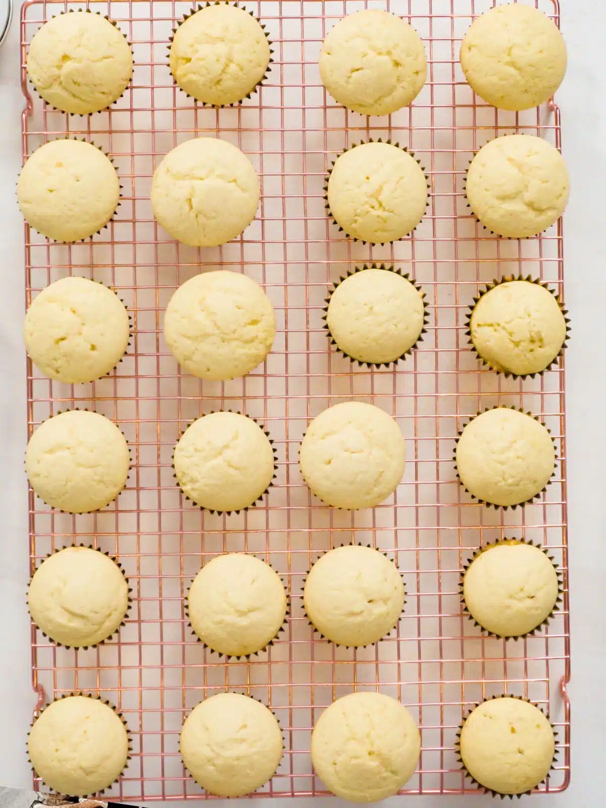 24 vanilla cake mix cupcakes on baking rack.