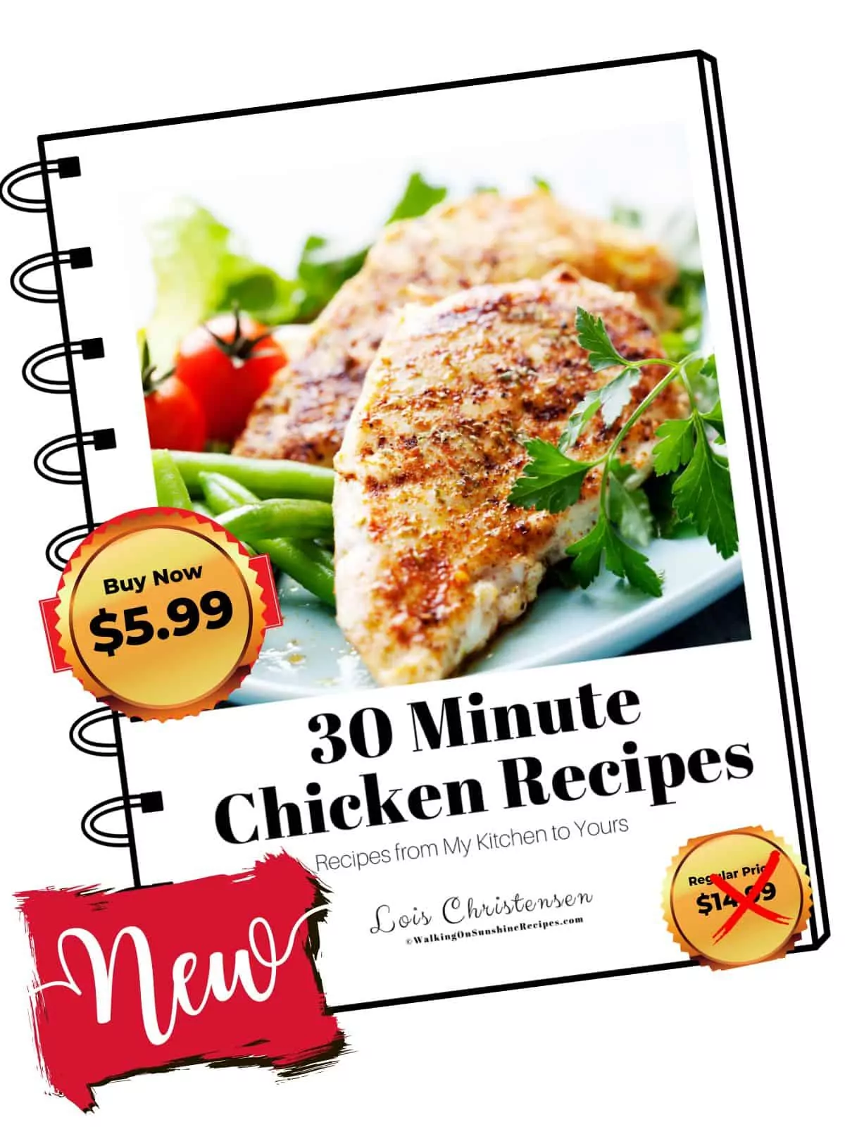 cover photo on spiral notebook for 30 minute chicken recipes.