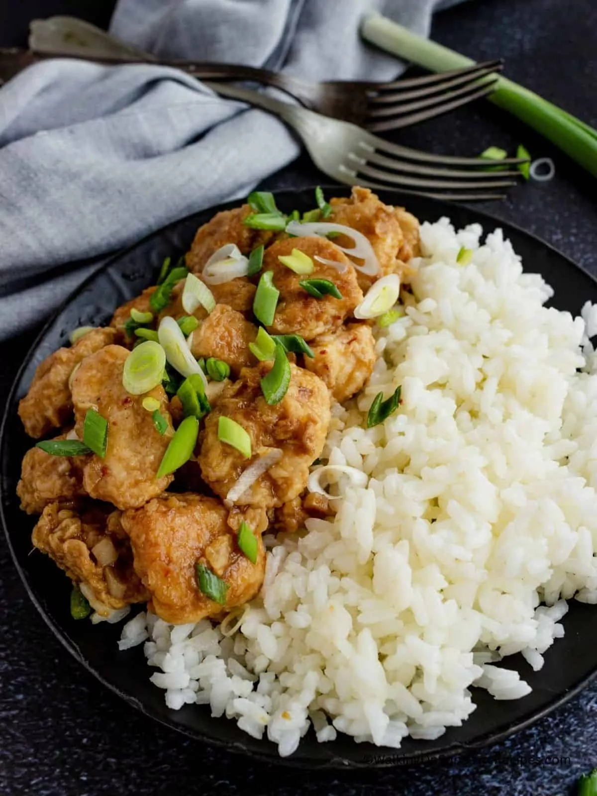 chicken on plate with rice and sliced green onions.