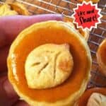 Pumpkin Pie Treats Pinterest Photo.