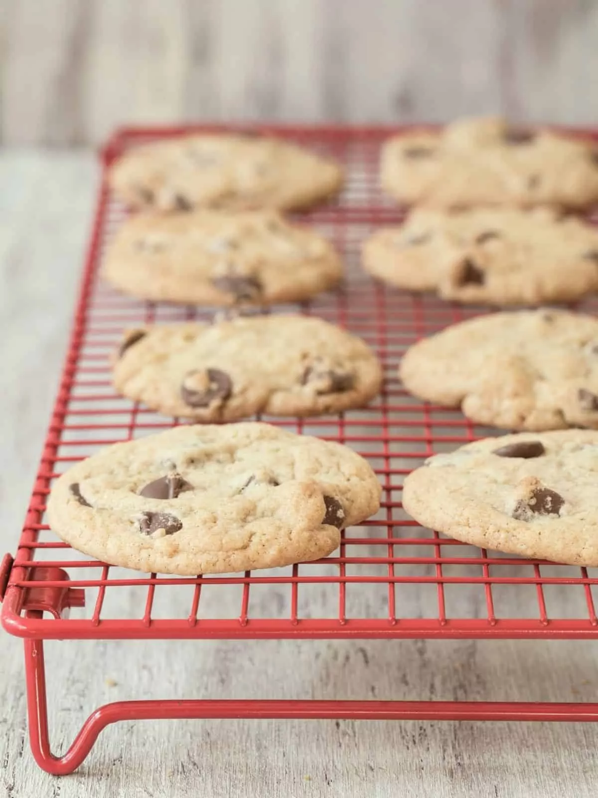 chocolate chip cookies on cooling rack.