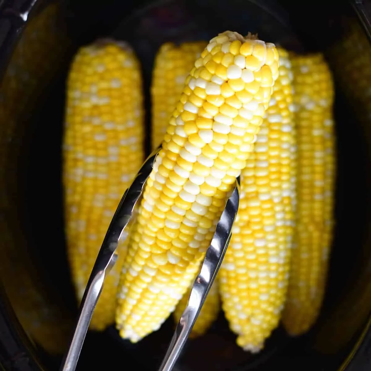 crock pot corn on the cob