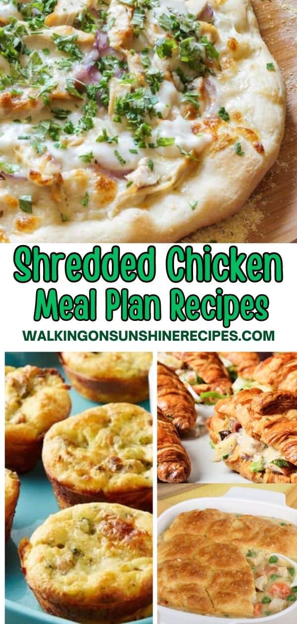 Recipes with Shredded Chicken | Walking on Sunshine Recipes