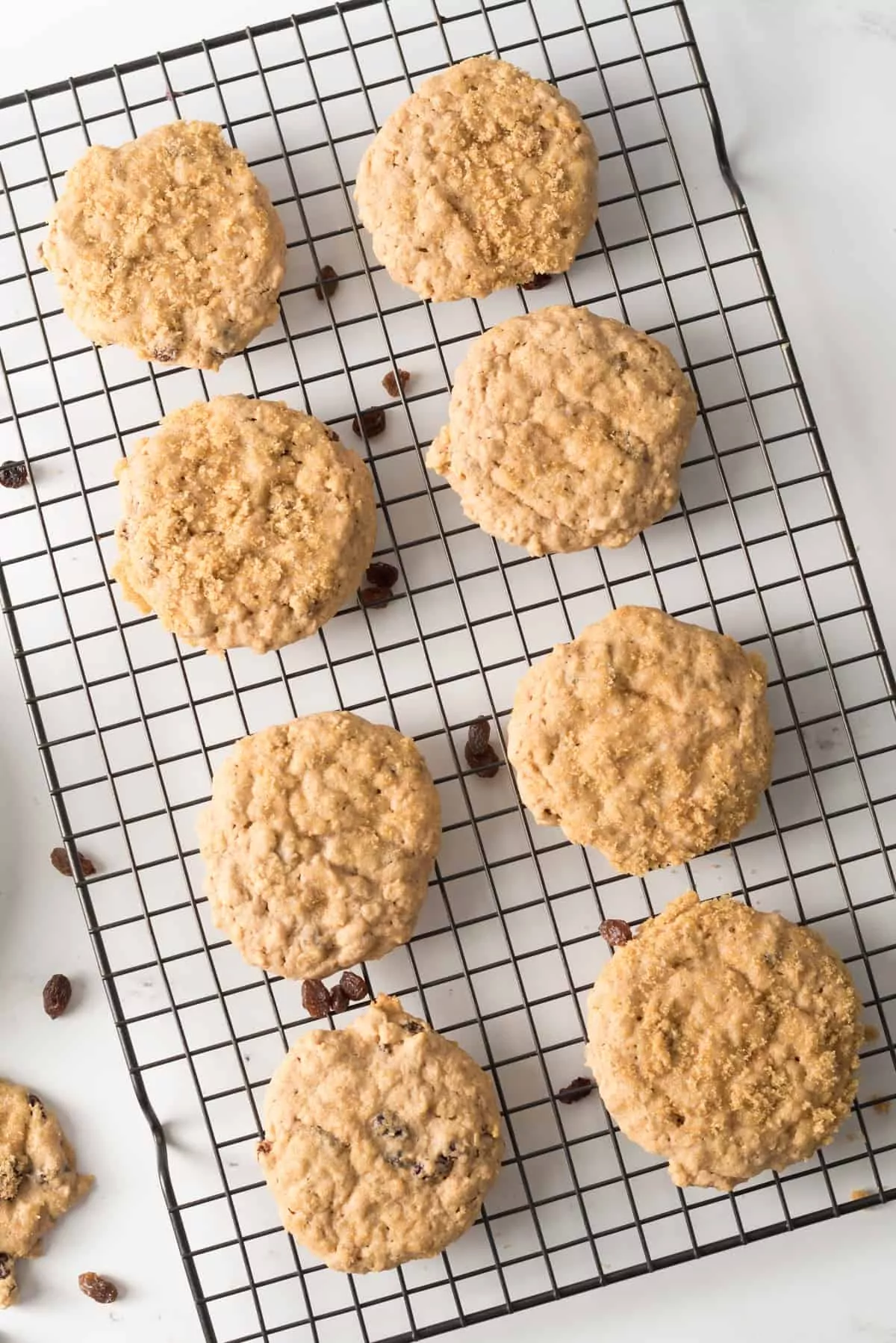 Simple Oatmeal cookie recipes made for diabetics with brown sugar substitute and raisons 