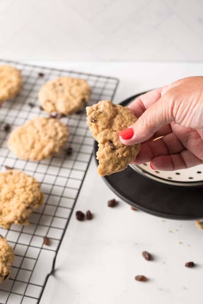 Simple Oatmeal Cookies for Diabetics Walking On Sunshine Recipes