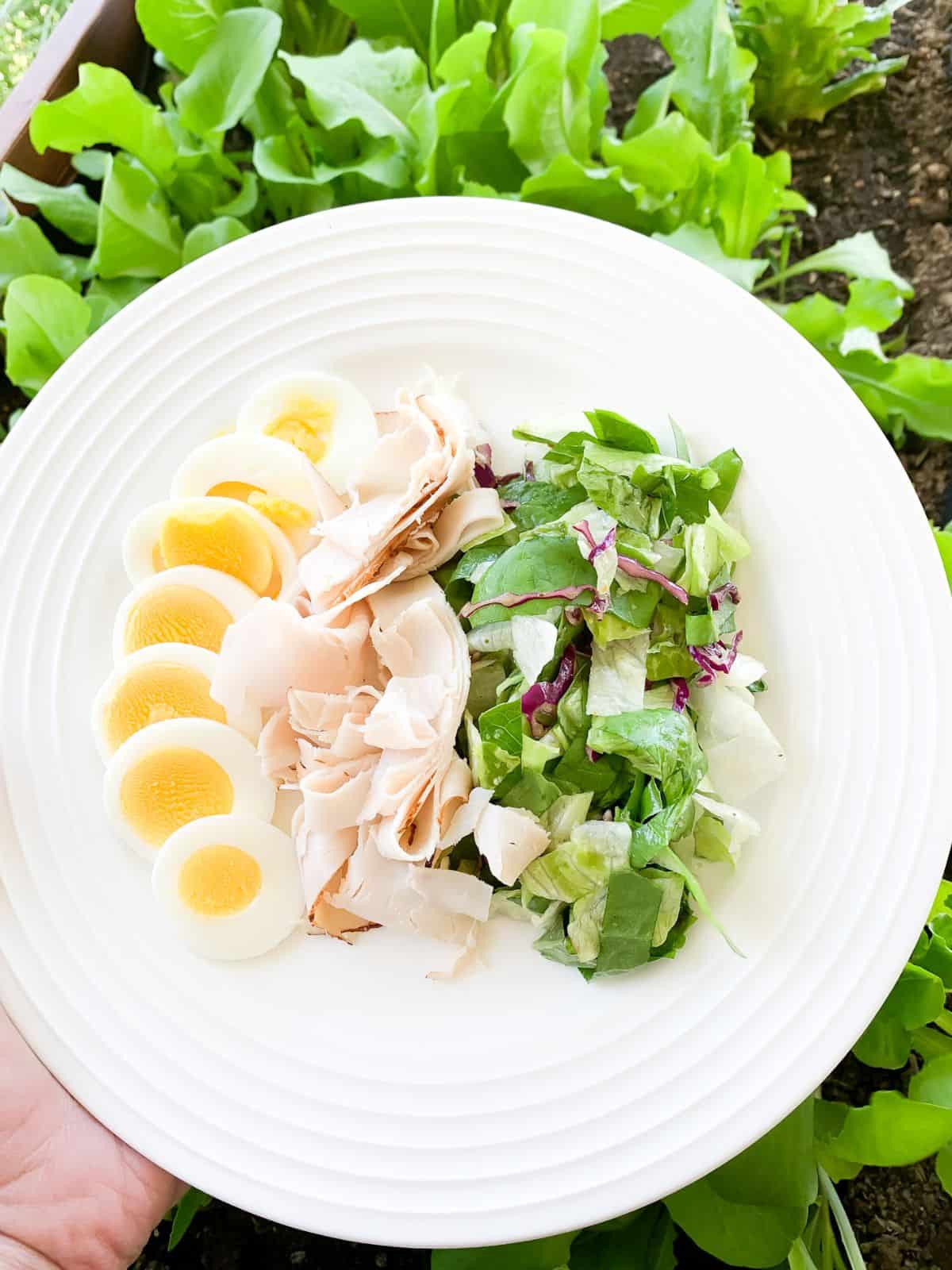 fresh lettuce on plate with hard boiled eggs and sliced turkey.