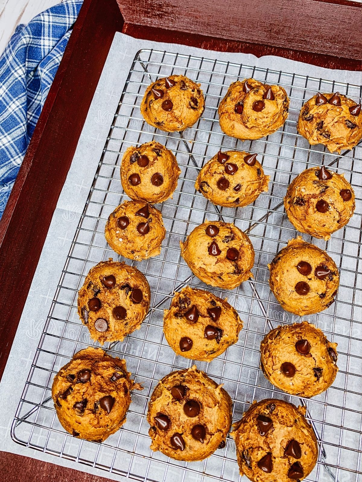 Mini Chocolate Chip Cookies in a Jar - Walking On Sunshine Recipes