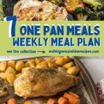 meal plan ideas for the week.