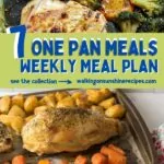 meal plan ideas for the week.