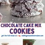 Chocolate powdered sugar cookies made with cake mix and whipped topping.
