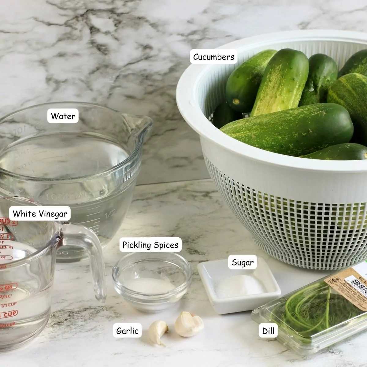 Ingredients for refrigerator pickles.