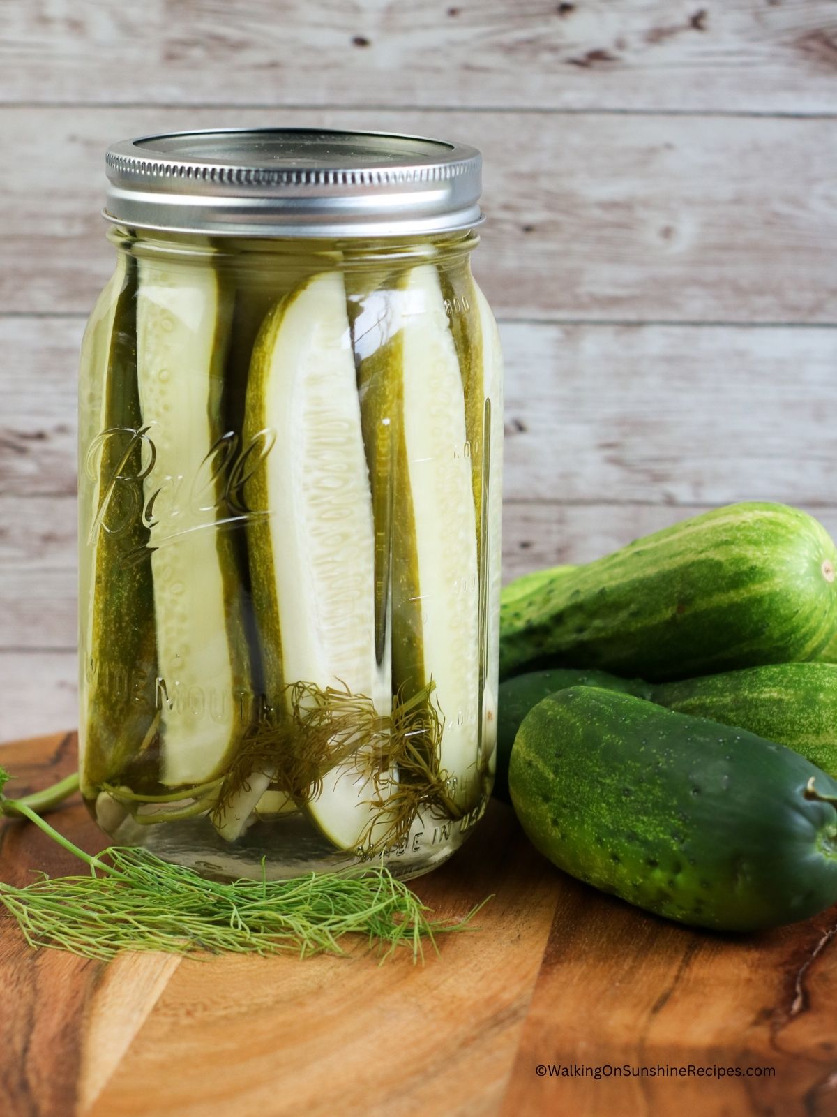 homemade refrigerator pickles on cutting board with fresh dill.