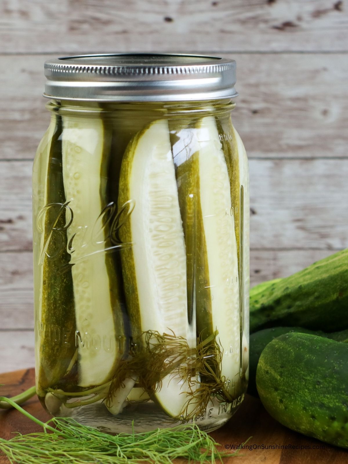 closeup of homemade refrigerator pickles in mason jar.