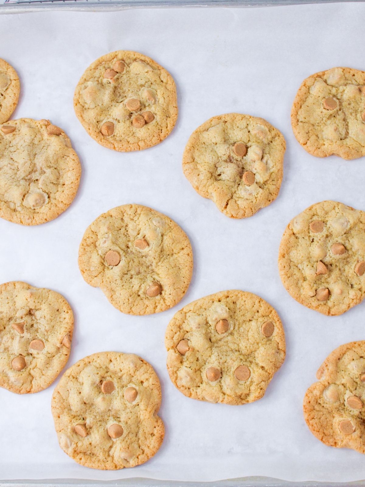 peanut butter cookies on baking tray.