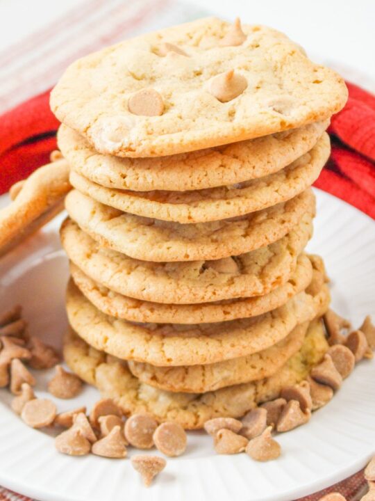 Chocolate Pizzelles Recipe Walking on Sunshine