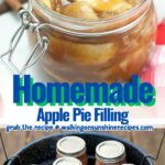 Homemade apple pie filling Pinterest.