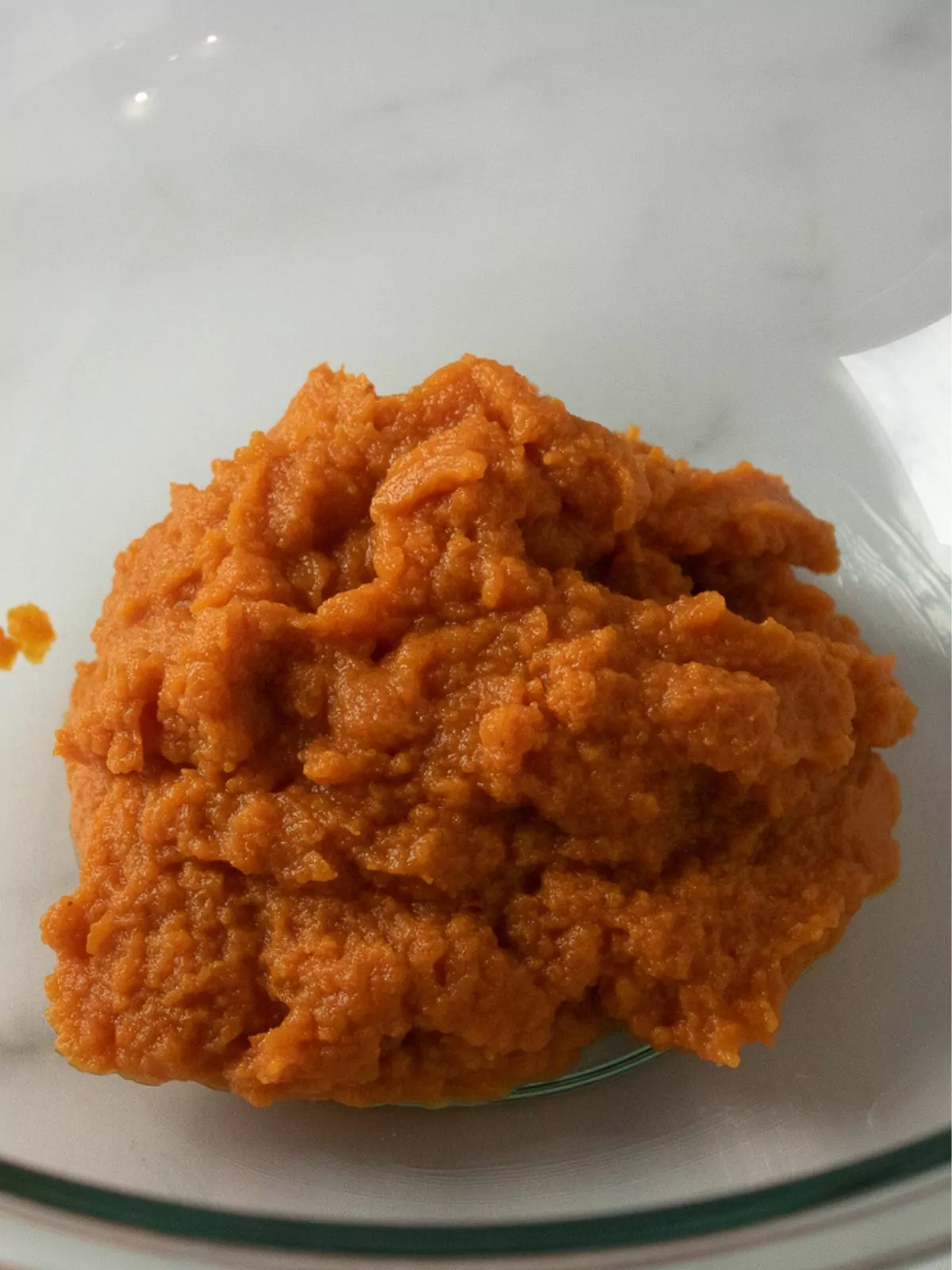 pumpkin puree in bowl.