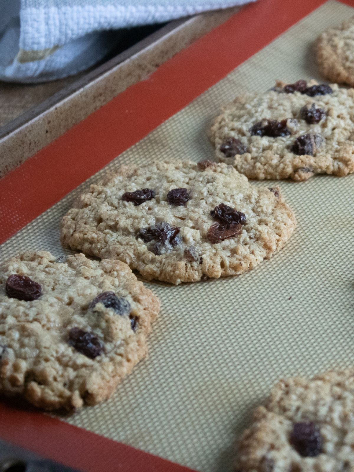 classic oatmeal cookies baked on tray.