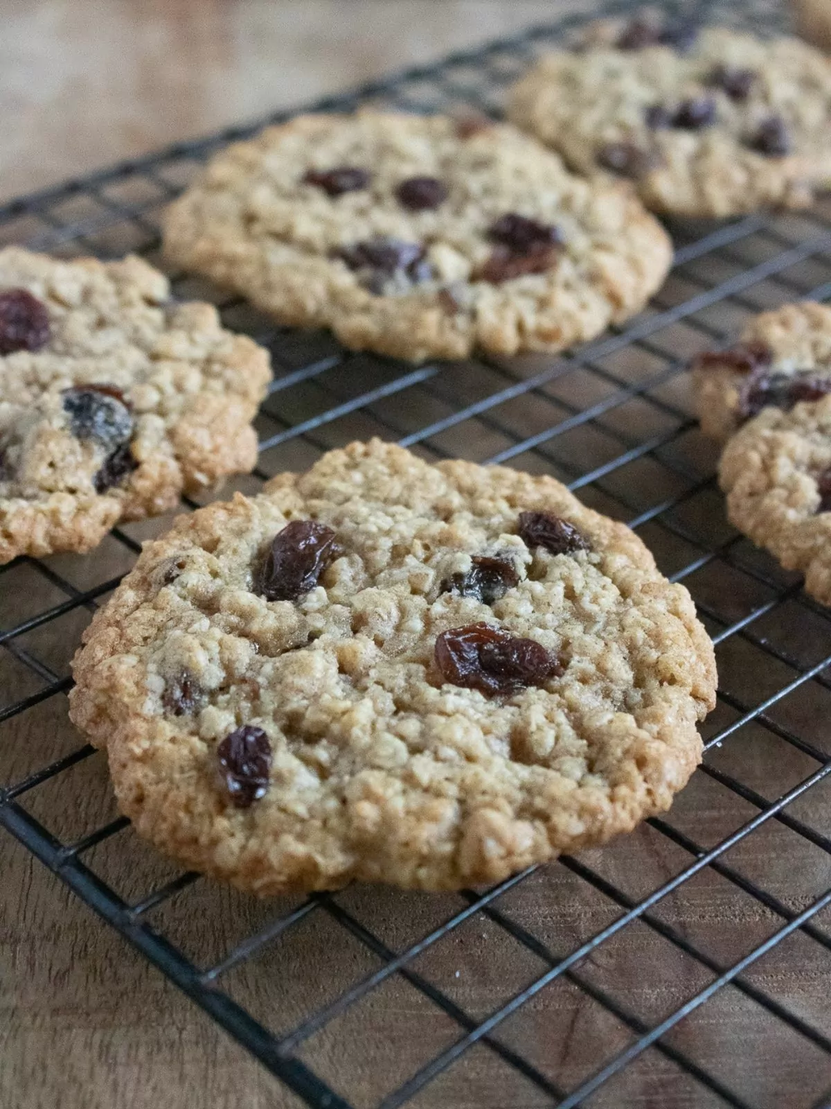 classic oatmeal cookies with raisins on cooling rack.