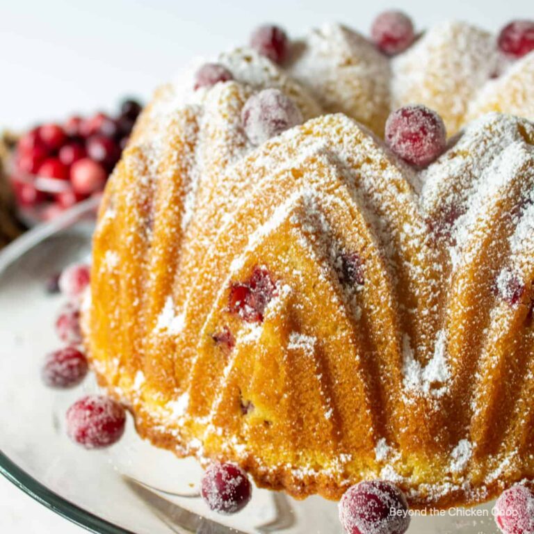 cranberry bundt cake
