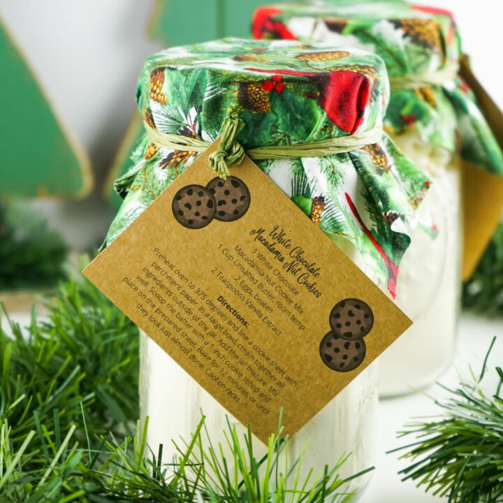 Mason Jar Cookies-image