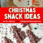 Pinterest Christmas Snacks that are Cute.