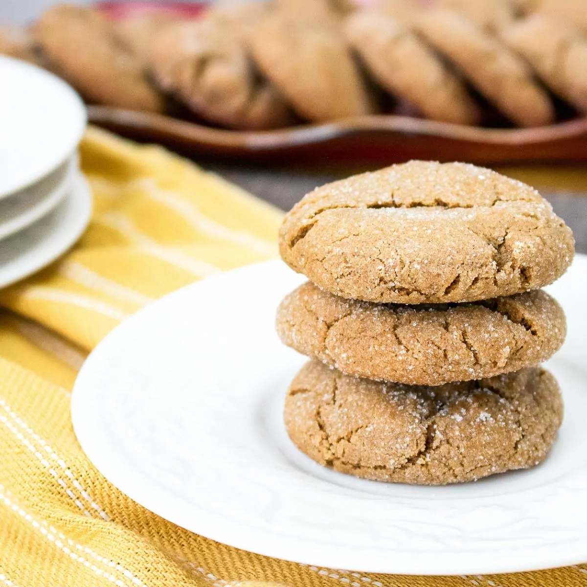 Featured photo of gingersnap cookies.