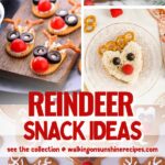 Reindeer Snack Ideas Pin