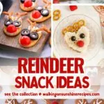 Reindeer Snack Ideas Pin