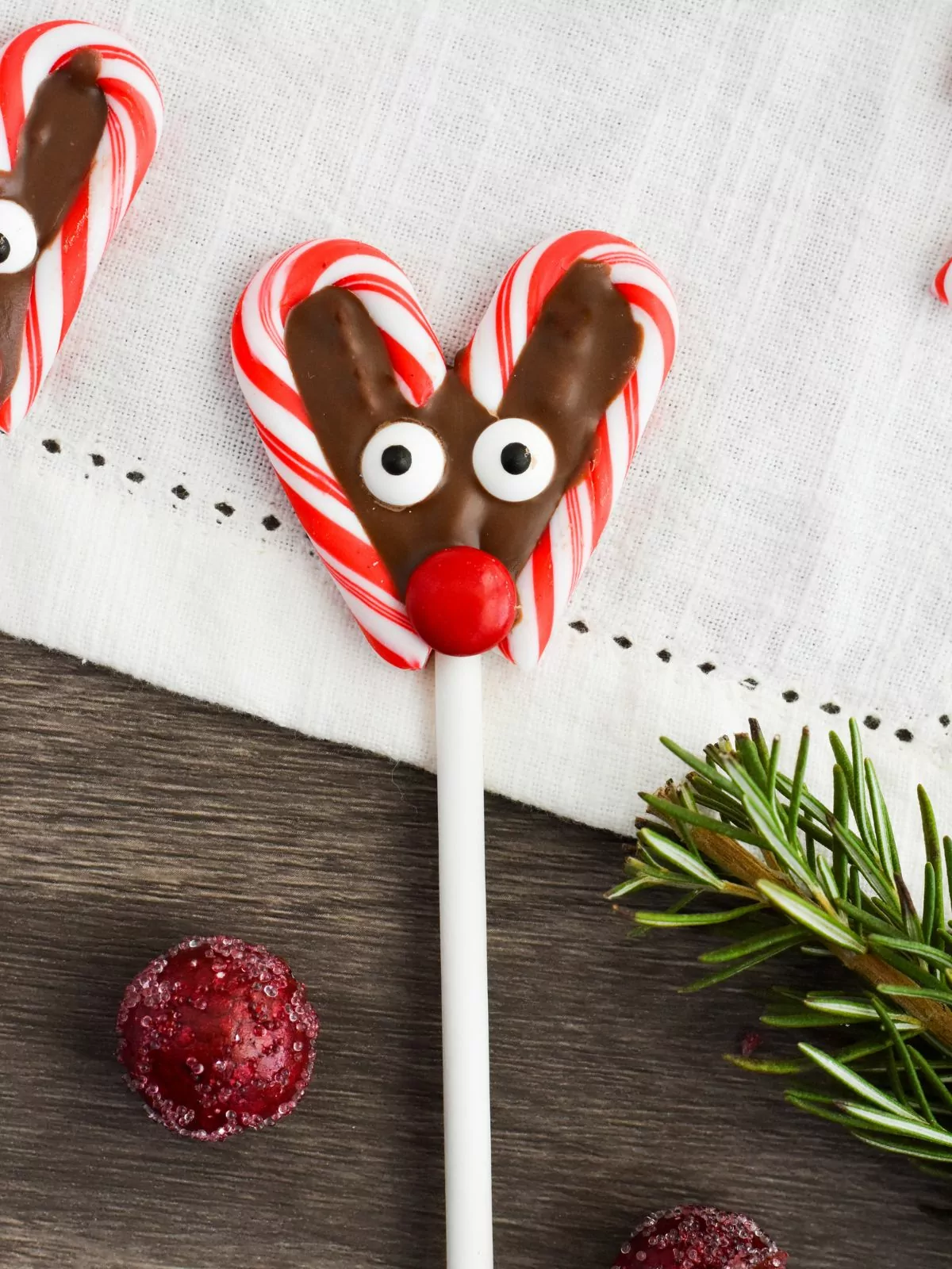 closeup of Reindeer Candy Canes on lollipop sticks.