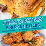 Chicken Recipes for Picky Eaters Pin