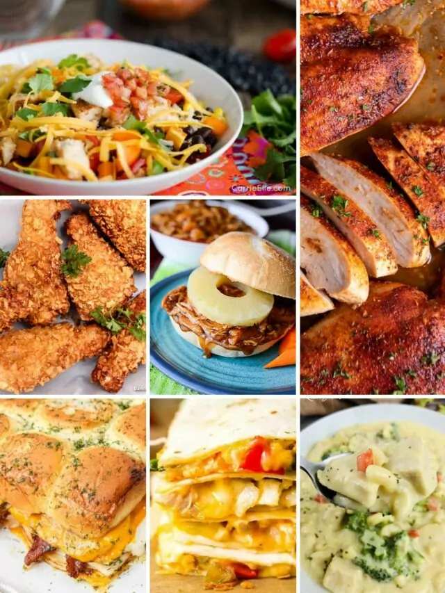 Collection of Chicken Recipes for Picky Eaters