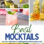 a collection of mocktails that all feature fresh basil.