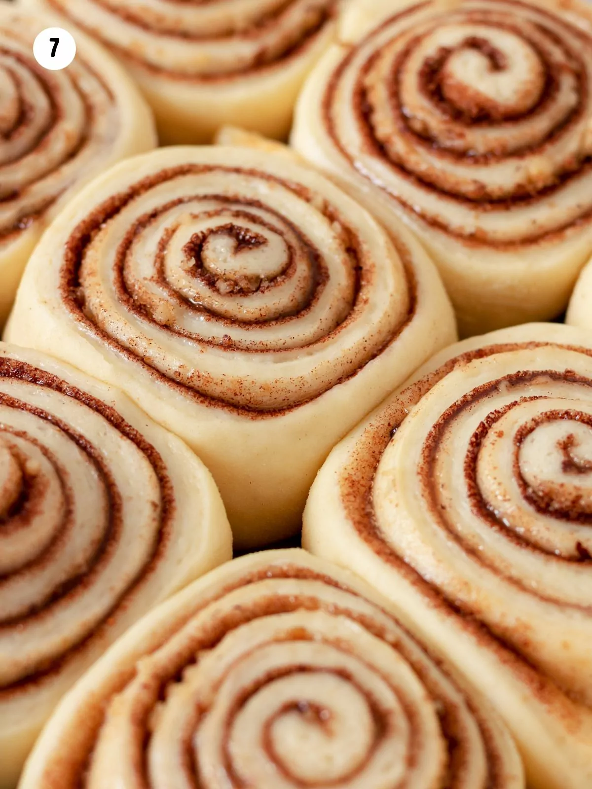 cinnamon rolls before rising.