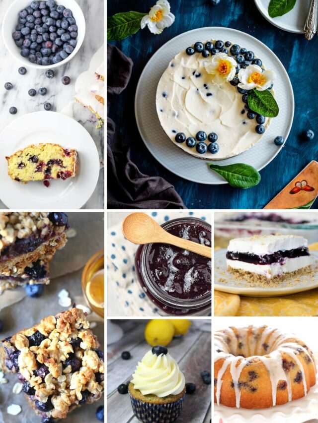 Summer Blueberry Recipes